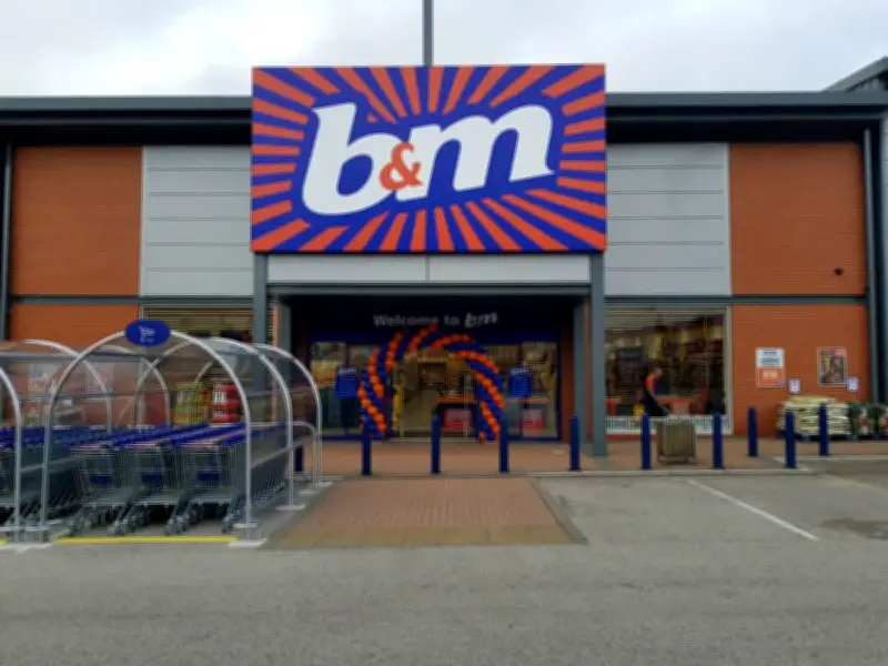 B&M's £8 Large Urban Basket with Lid: Neat and Organised Home Solution