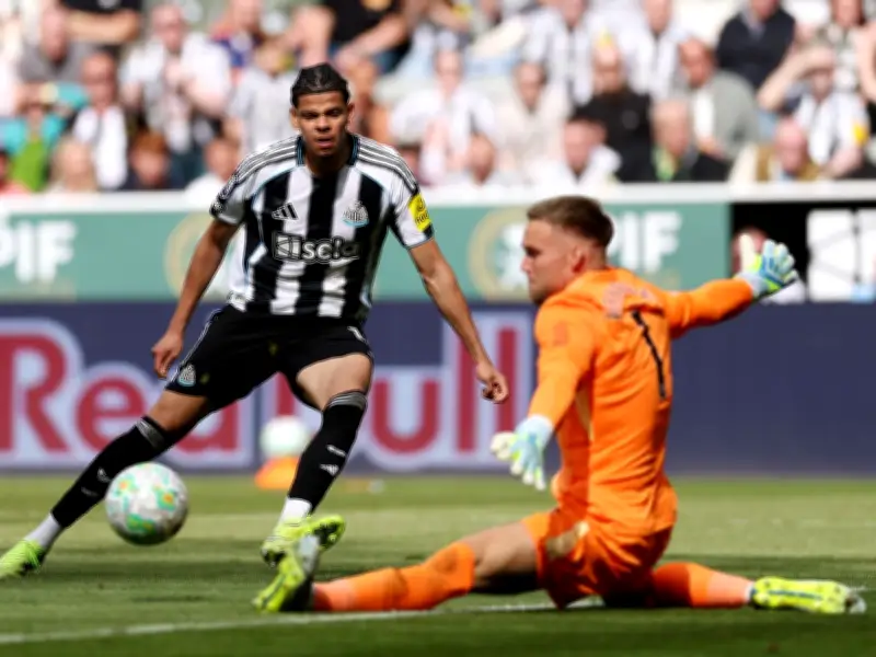 Brighton Urged to Sell Bart Verbruggen as Newcastle Monitor Goalkeeper