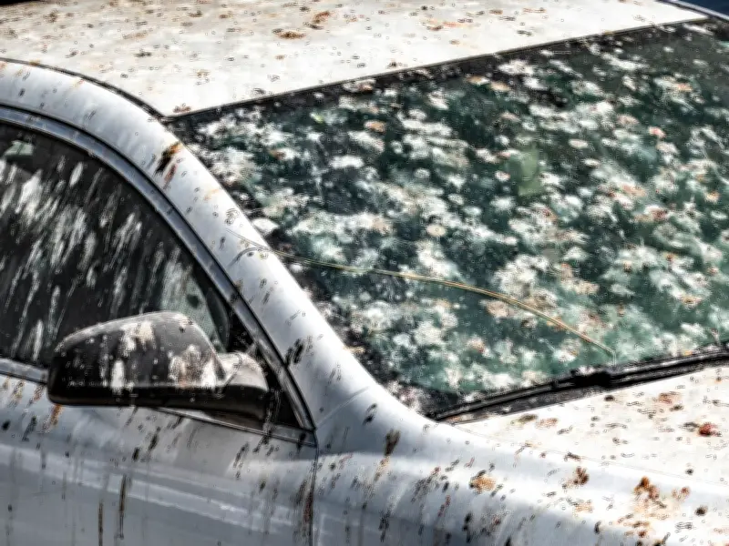 Cheap Way to Remove Hard Bird Poo from Car Windows Using Two Ingredients