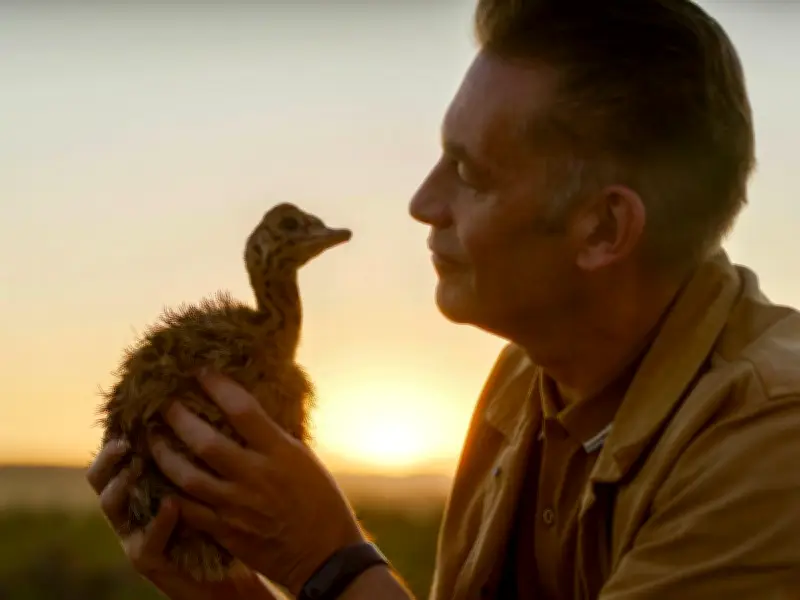 Chris Packham's Evolution: A Modern Take on Attenborough's Life on Earth