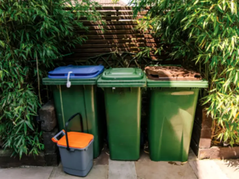 Clear Maggots from Your Bin Instantly with Easy Free Method