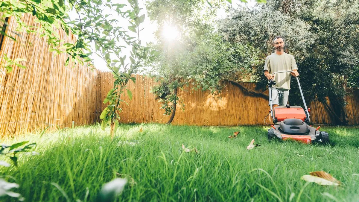 Common Lawn Mistake Could Ruin UK Gardens This Summer