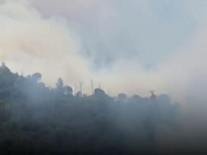 Costa Brava Wildfire Burns 750 Hectares, 12,000 Told to Stay Indoors