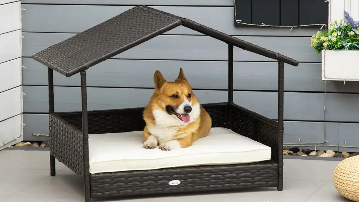 Debenhams Slashes Rattan Canopy Dog Bed To £68