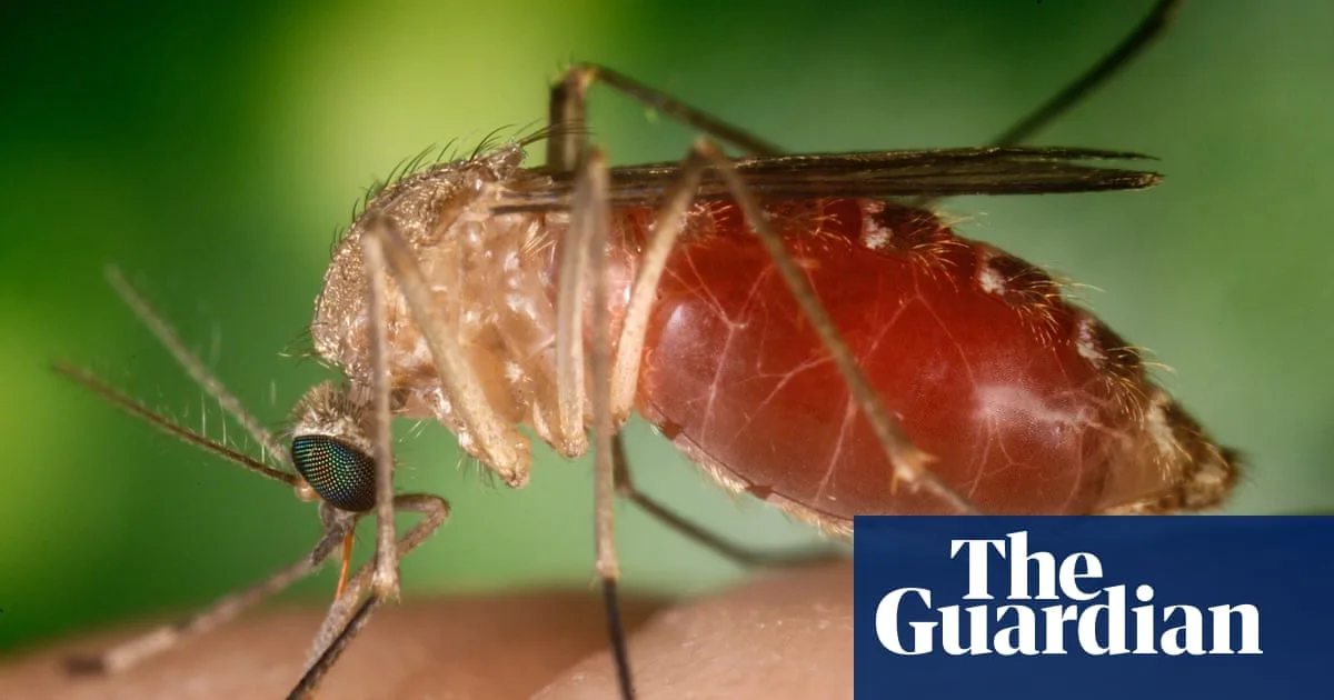 Climate Change Could Bring Tropical Diseases to UK, Experts Warn
