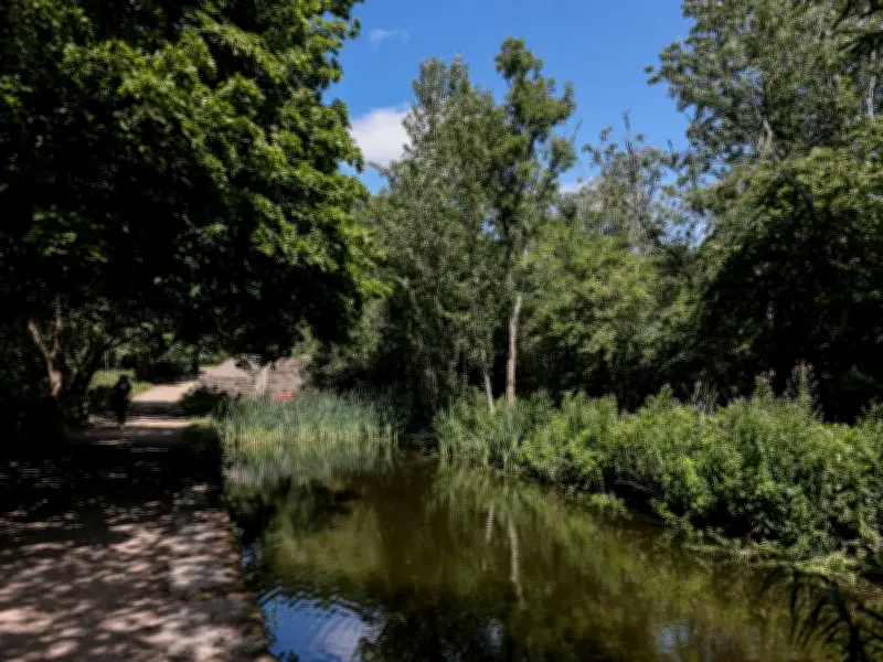 Discover Daisy Nook: Greater Manchester's Overlooked Woodland Park with Lake and Picnic Spots