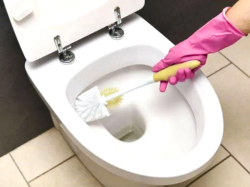 Ditch Vinegar for Citric Acid to Remove Toilet Limescale in 15 Minutes