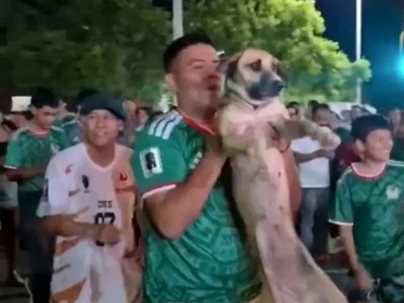 Dog missing for month found partying with Mexico World Cup fans