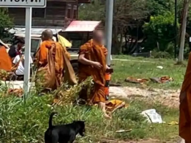 Eight Buddhist Monks Killed in Thailand After Pickup Truck Crash During Pilgrimage