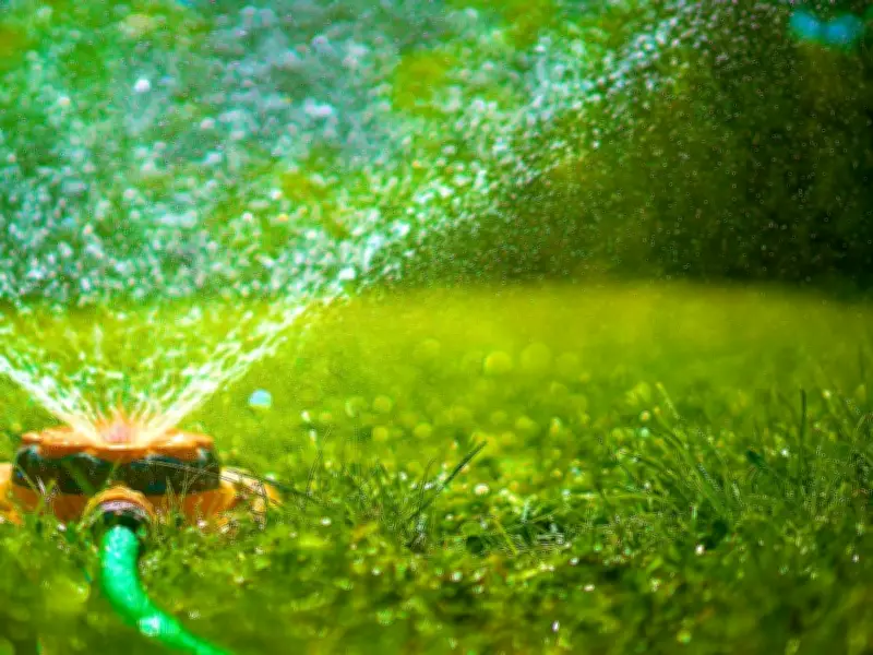 Epsom Salt Keeps Lawns Green All Summer Long
