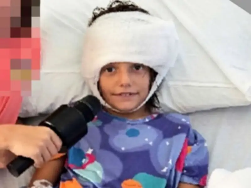 Family sleeps in car after daughter attacked by pack of dogs in California