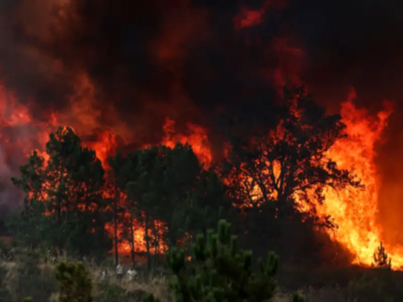 FCDO Issues Portugal Wildfires Warning to Brits Ahead of Summer Holidays