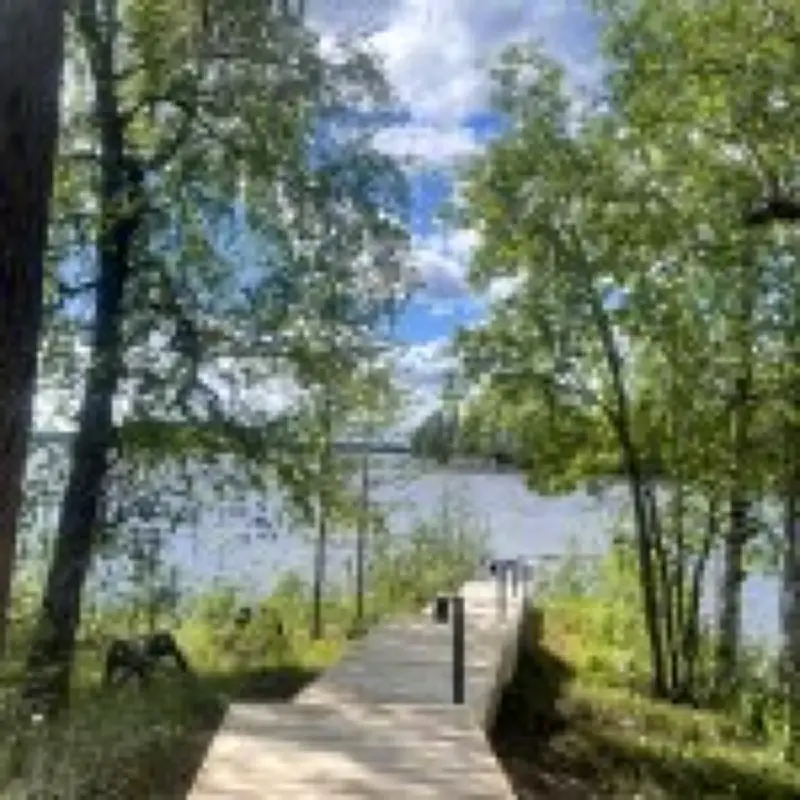 Finnish Lapland Summer: Europe's Best-Kept Raw Travel Secret