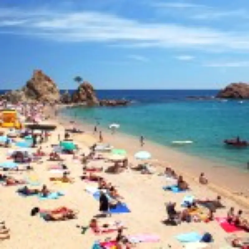 Flesh-Rotting Bacteria Spreading Across Europe's Beaches as Seas Warm