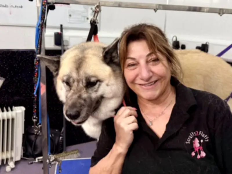 Fresh Allegations of Animal Abuse at Scruffy 2 Fluffy Dog Grooming