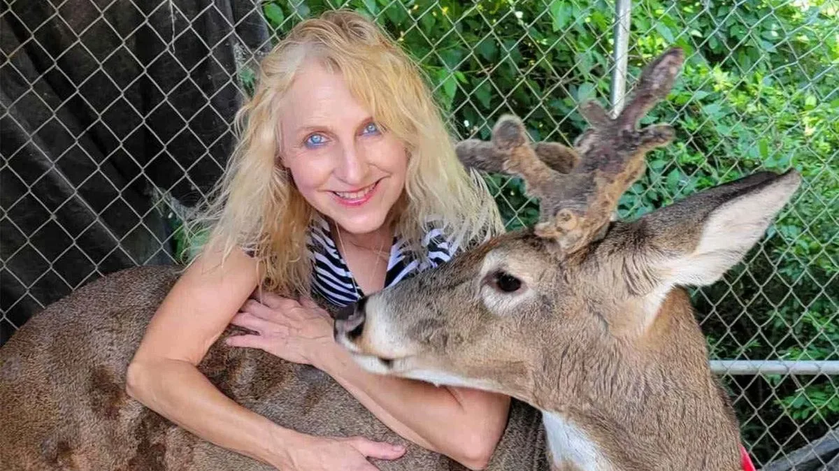 Grandmother Killed by Deer She Rescued in Ohio Attack