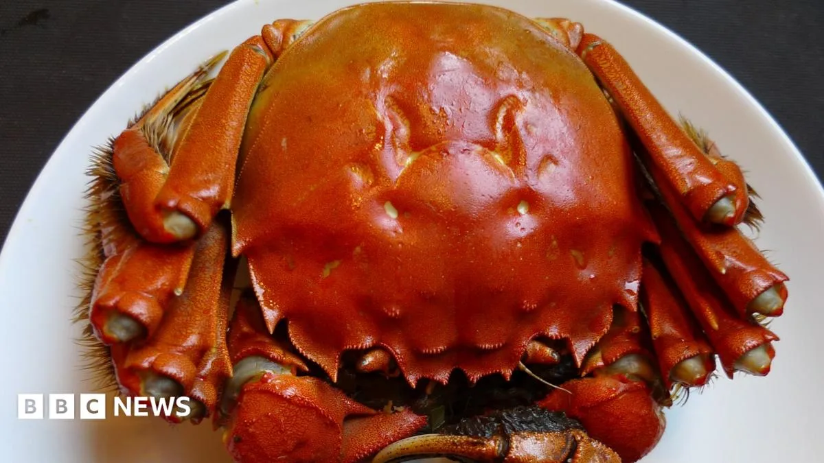 The Art of Eating Hairy Crabs: A Shanghai Obsession