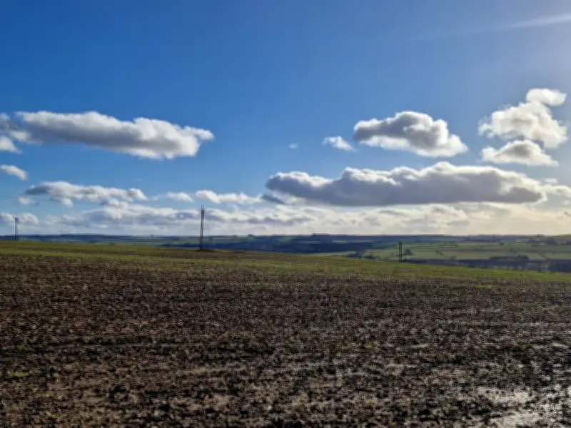 High Court Dismisses Challenge to Major County Durham Forest Plan
