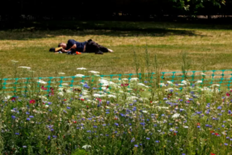 Hosepipe Ban Fears in London Amid Third Heatwave of Year