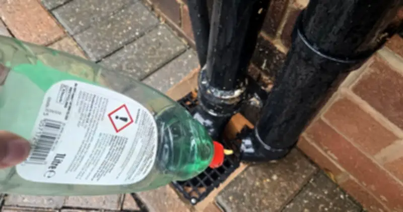 Households Urged to Pour Washing Up Liquid Down Drains on Sunday