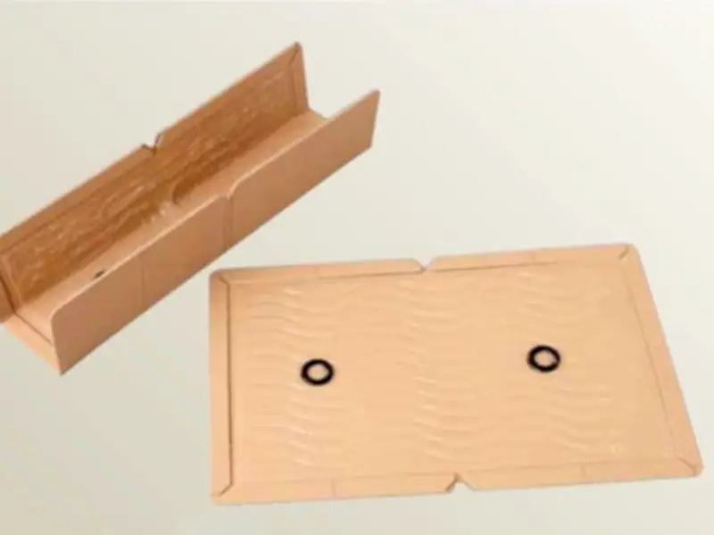 Illegal Glue Traps Still Widely Sold in Scotland Despite Ban