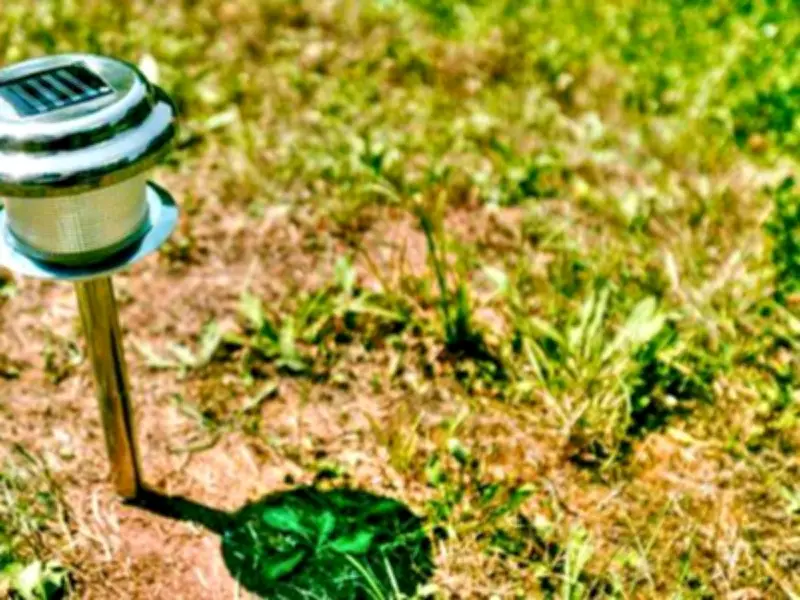 Make Solar Garden Lights Shine Brighter With 1 Easy July Task