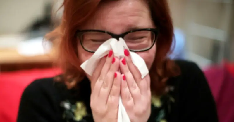 Met Office Warns of 'Very High' Pollen Levels in 16 UK Counties on Friday
