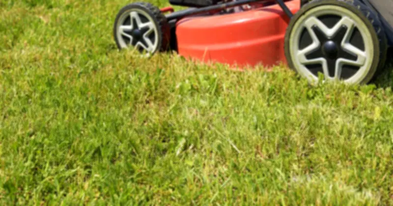Monty Don Warns: Leaving Grass Clippings Can Ruin Your Lawn Next Year