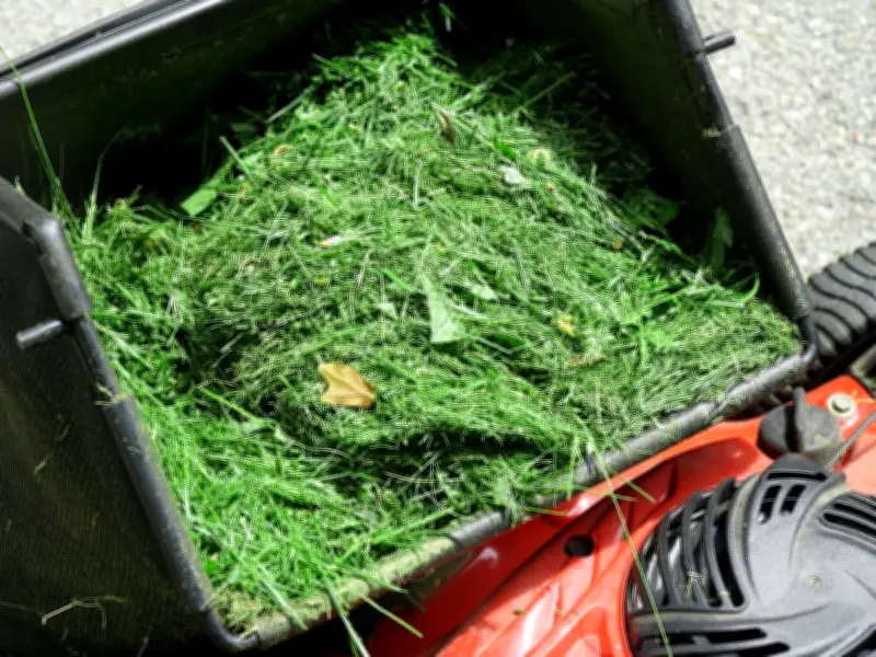 Monty Don's July Warning: Never Leave Grass Clippings on Lawn