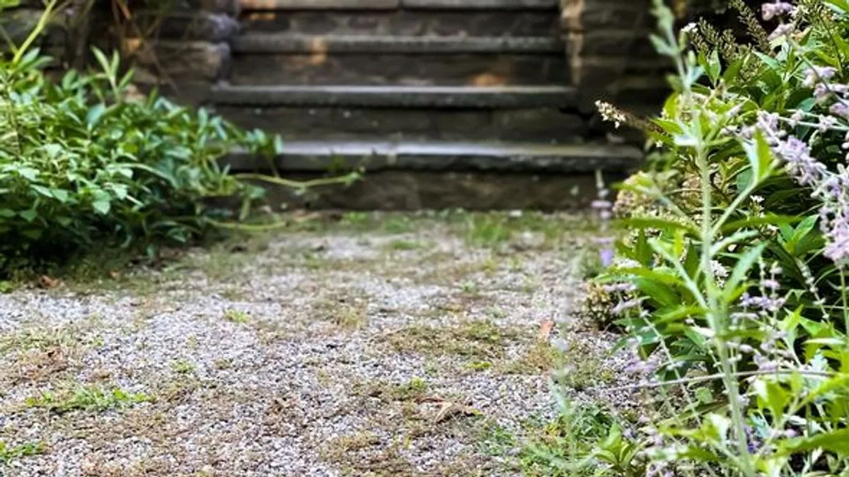 Gardener shares simple hack to kill gravel weeds using boiling water