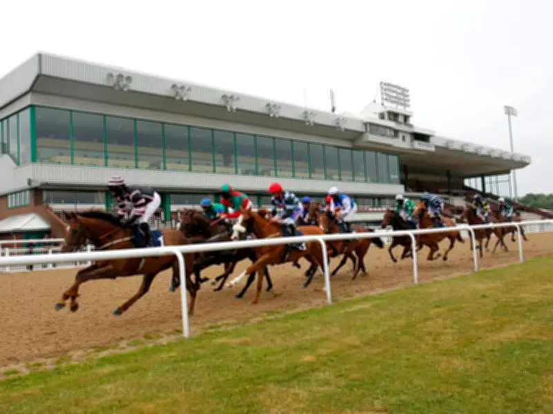 Newsboy's Horseracing Tips: Suggy Nap at Wolverhampton, Romanza nb at Lingfield