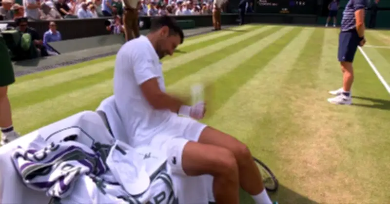 Novak Djokovic Punches Leg 11 Times in Wimbledon Meltdown