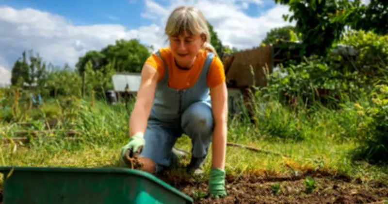 Plant Turnips in July for Autumn Harvest, Says Gardening Expert
