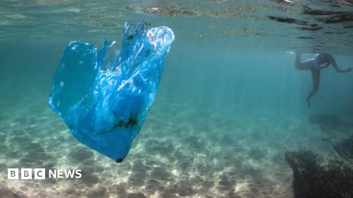 Plastic Peril: Who's Really Responsible for Australia's Waste?