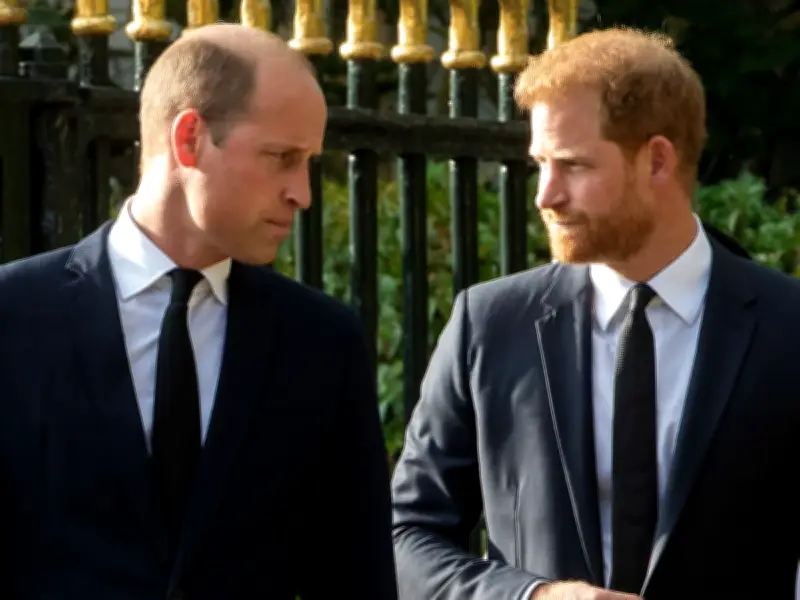 Prince William and Harry 'will never reconcile' due to 'hurt' to Royal Family, says royal editor