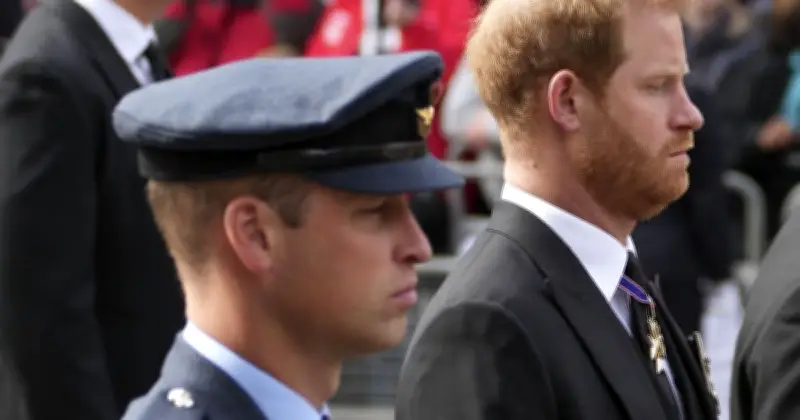 Prince William Refuses to Intervene in Harry's Security Battle, Expert Says