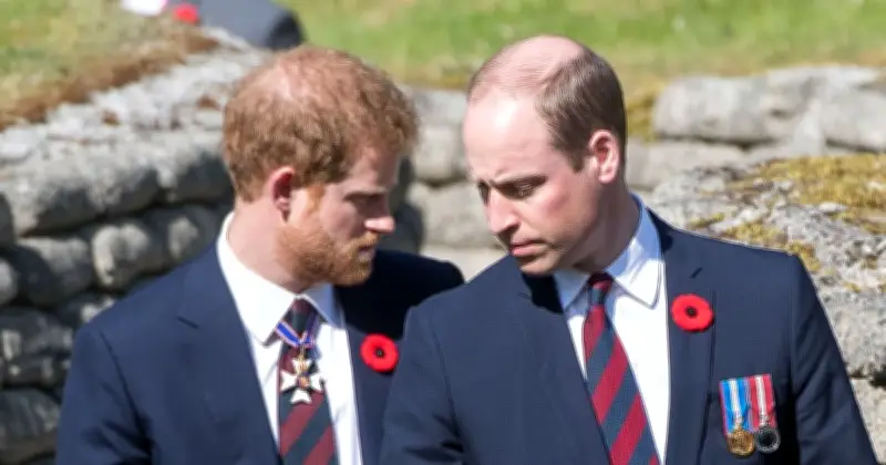 Princess Catherine Urges Prince William to Meet Prince Harry During UK Visit