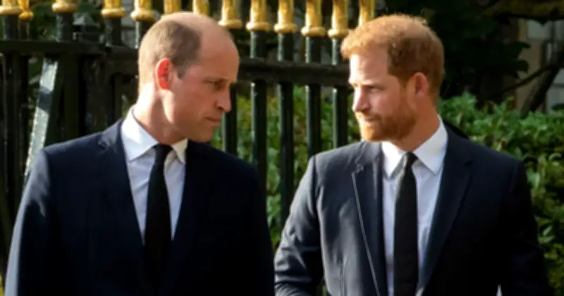 Royal Fans Urge Prince William Not to Forgive Prince Harry in New Poll