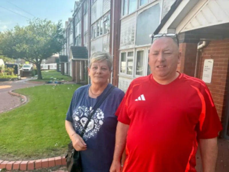 Seagulls tear into bins in Seaforth as residents reach breaking point