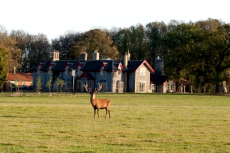 The Gunton Arms: Norfolk's Art-Filled Country Pub with Eccentric Charm