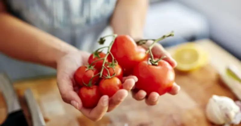 Tomato Farmer Reveals Best Storage for Flavour and Texture