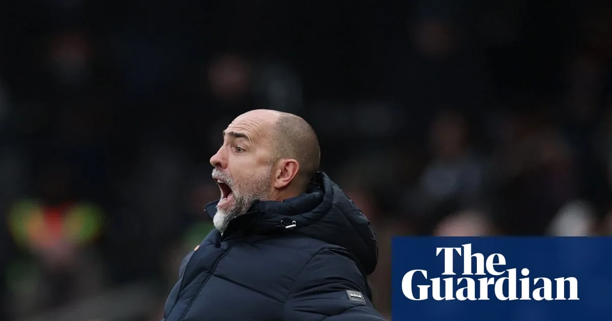 Tottenham's Tudor Slams Team's 'Brain' After Fulham Loss