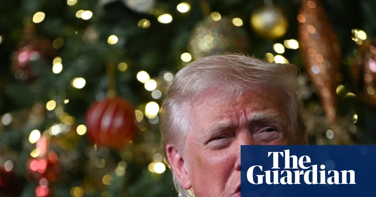 US Airstrikes Target Islamic State Militants in Nigeria, Trump Says