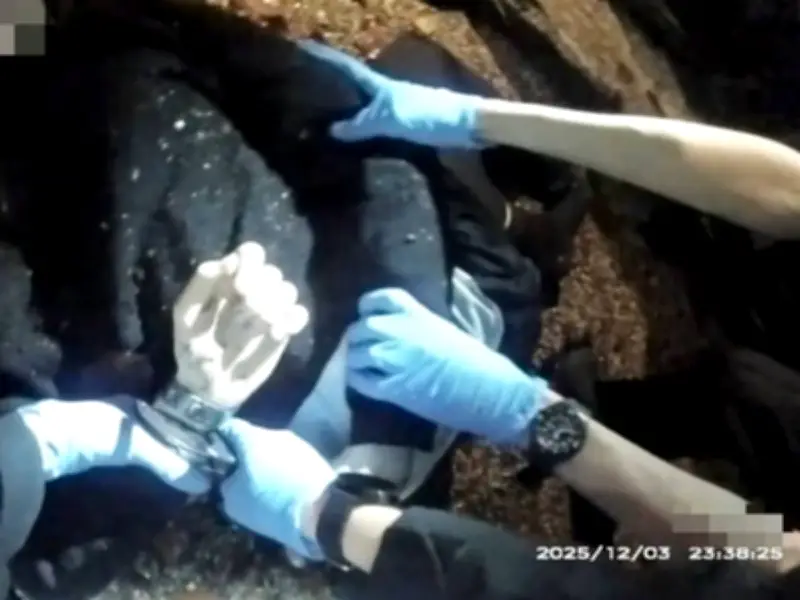 Two Hampshire Police Officers Probed for Handcuffing Dying Teen Henry Nowak