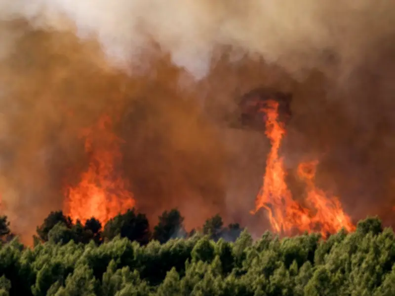 UK Foreign Office Updates France Travel Advice Amid Wildfires