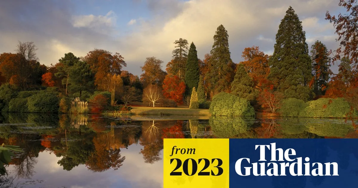 Wet UK Summer Promises Spectacular Autumn Wildlife Harvest