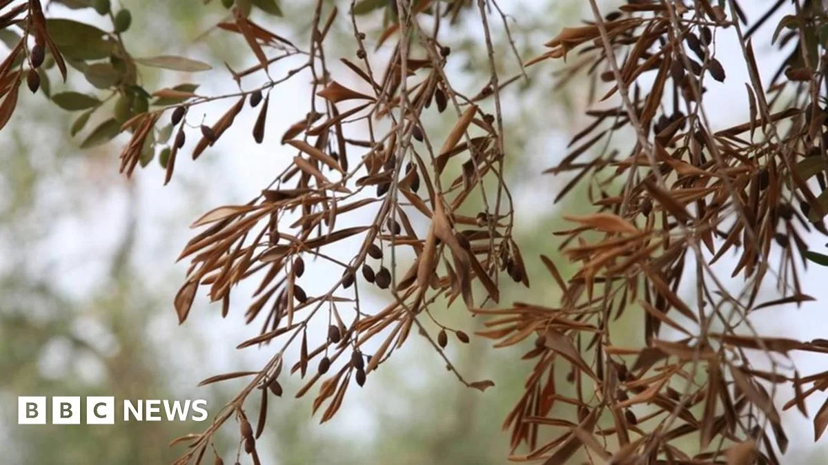 Urgent Warning for UK Gardeners Over Plant Disease