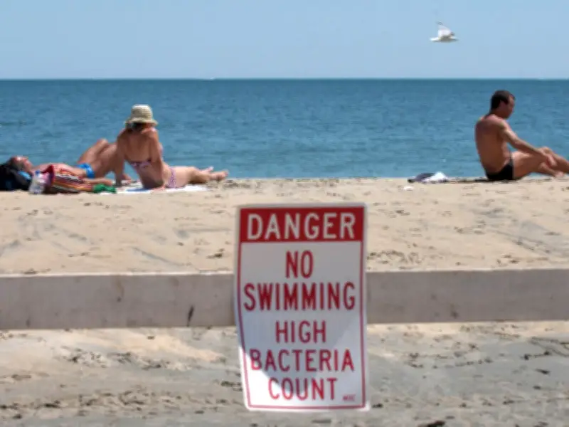 US East Coast Beaches Face Faecal Bacteria Warnings Amid Heatwave