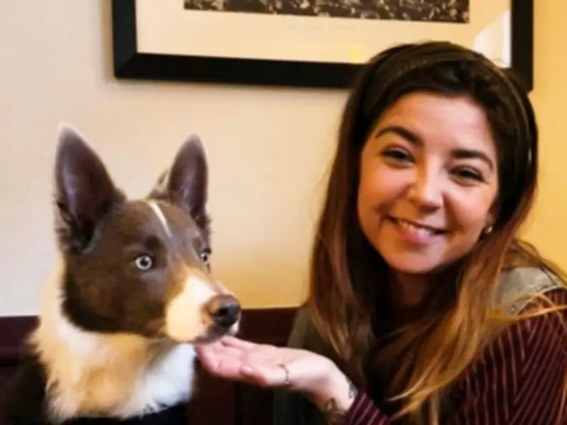Warning After Puppy Dies from Blue-Green Algae in Lake District