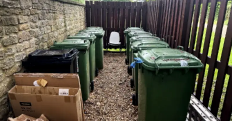 Which? Urges UK Households to Clean Wheelie Bins to Stop Summer Smells and Flies